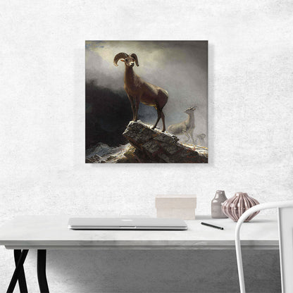 Rocky Mountain Big Horn Sheep 1884